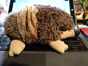 plush GA hedgehog