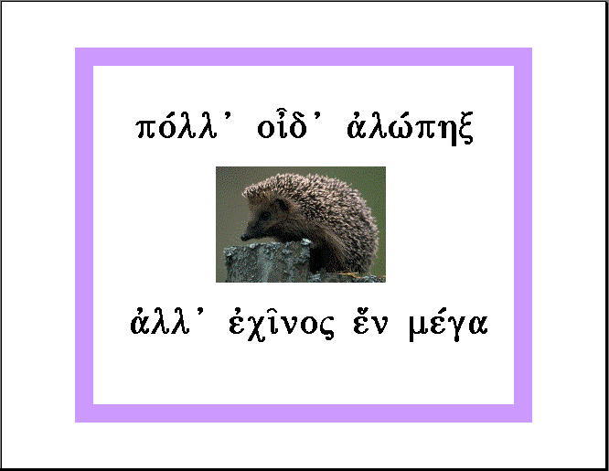 hedgehog and motto